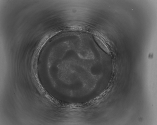 X0000100330241200806121134