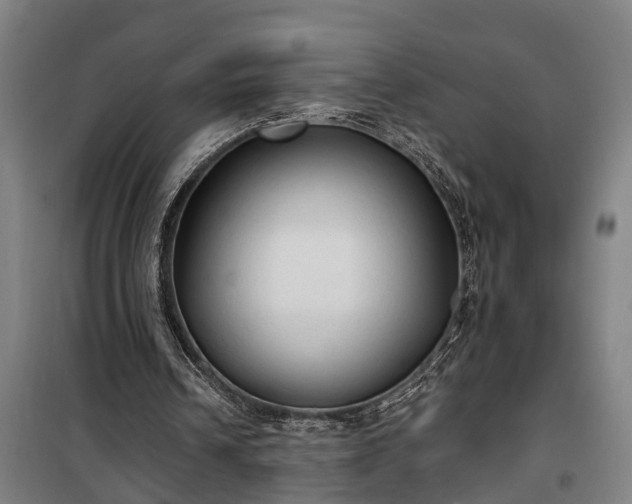 X0000100330242200806121134