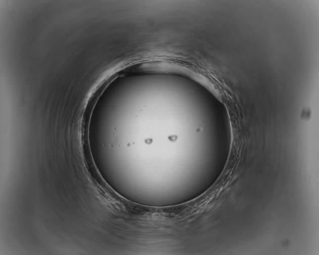 X0000100330244200806121134