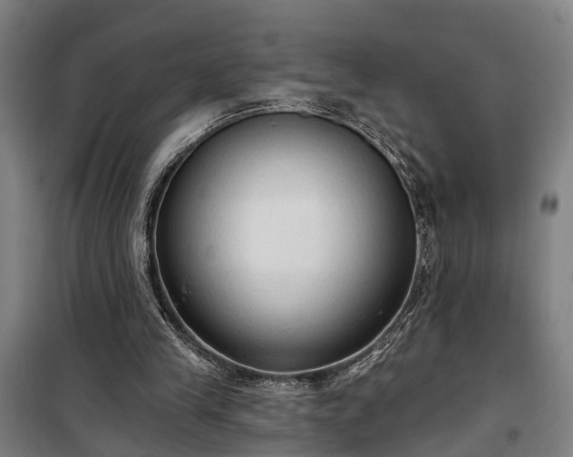 X0000100330245200806121134