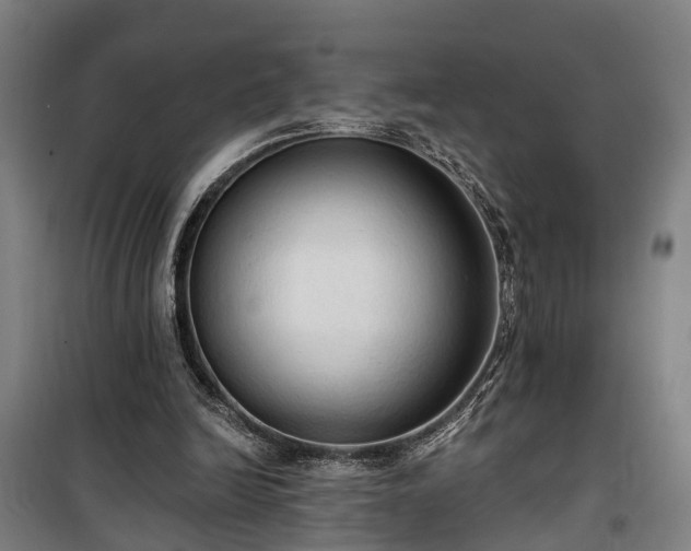 X0000100330246200806121134