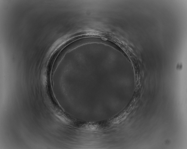 X0000100330247200806121134