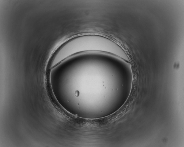 X0000100330248200806121134