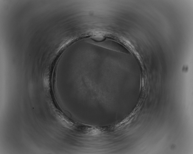 X0000100330249200806121134