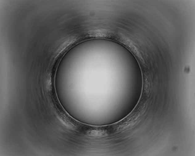 X0000100330251200806121134