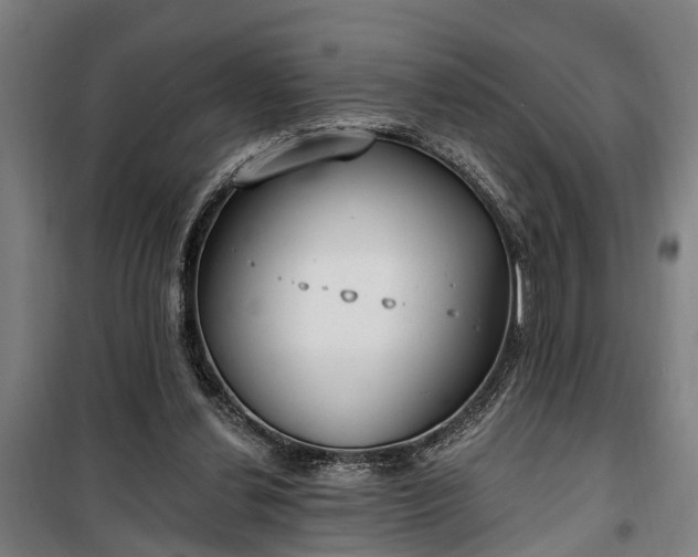 X0000100330252200806121134