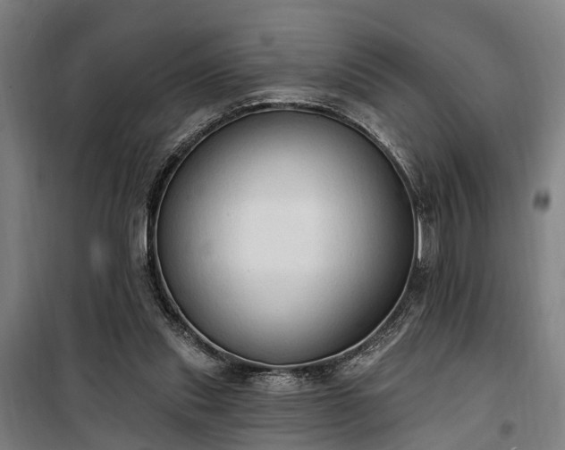 X0000100330253200806121134