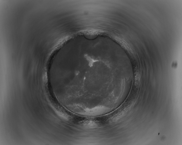 X0000100330254200806121134