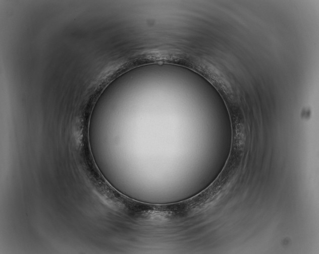 X0000100330255200806121134