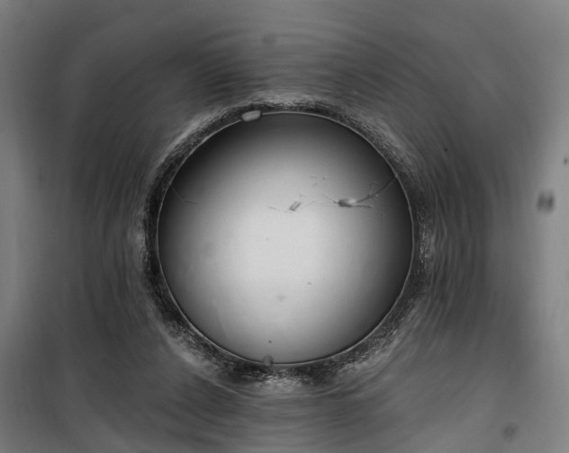 X0000100330256200806121134