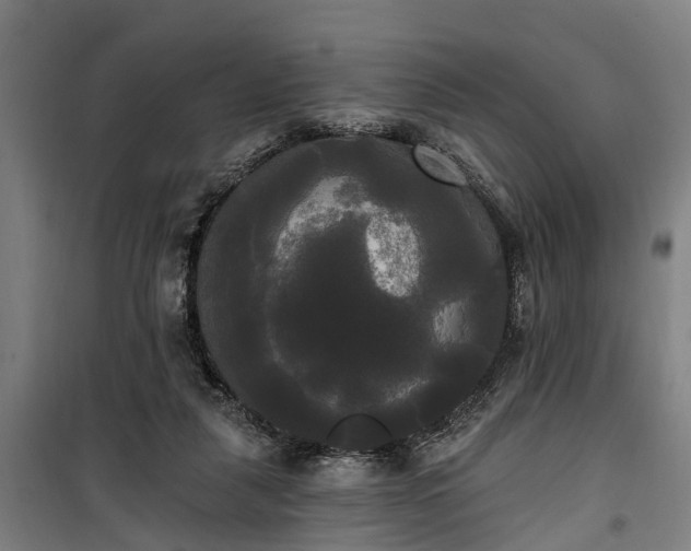 X0000100330259200806121134