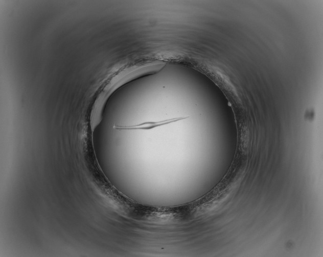 X0000100330260200806121134