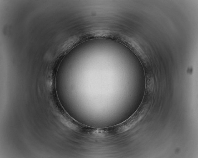 X0000100330261200806121134