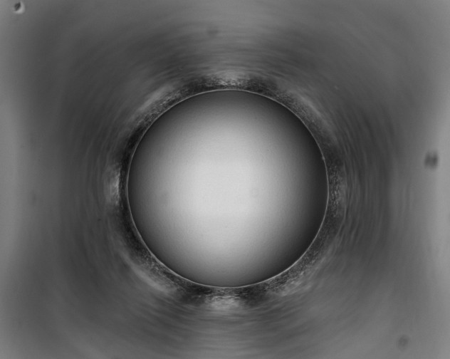 X0000100330262200806121134