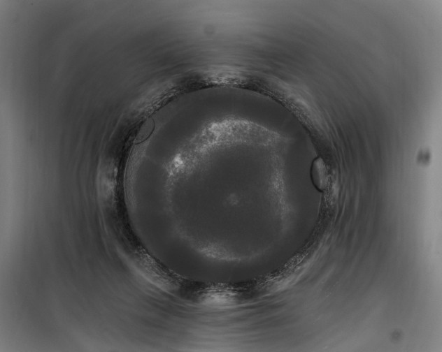 X0000100330263200806121134