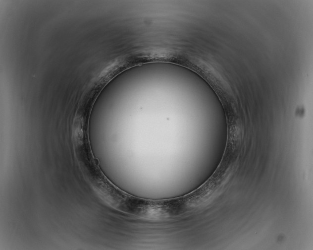 X0000100330264200806121134