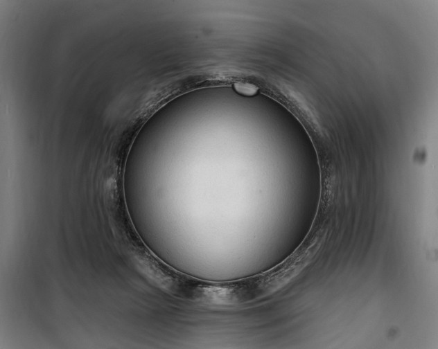 X0000100330265200806121134