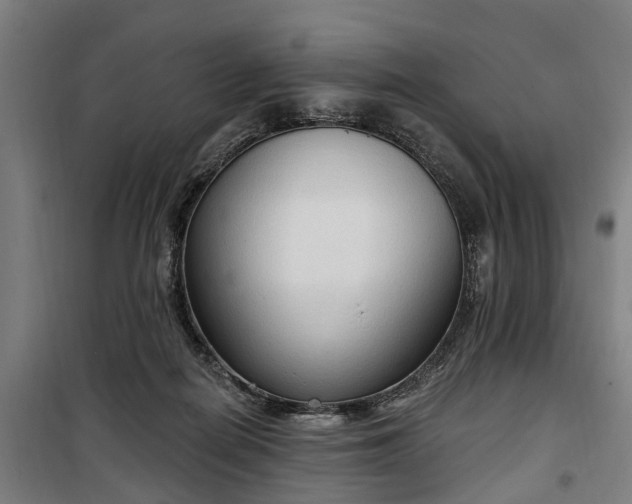 X0000100330266200806121134