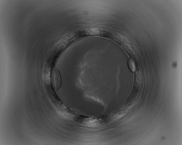 X0000100330267200806121134