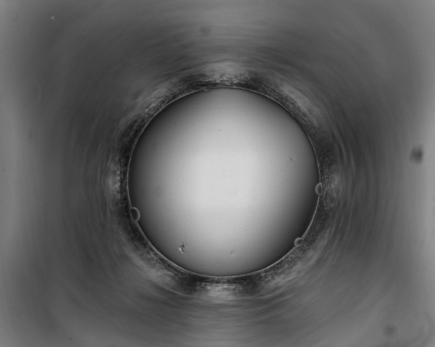 X0000100330268200806121135