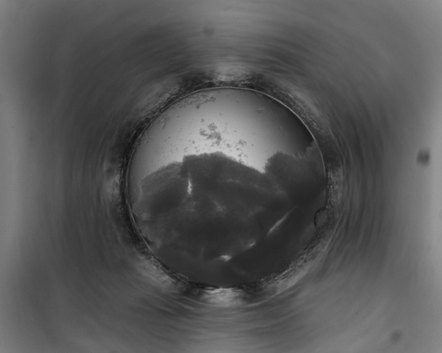 X0000100330269200806121135