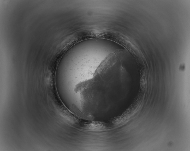 X0000100330270200806121135