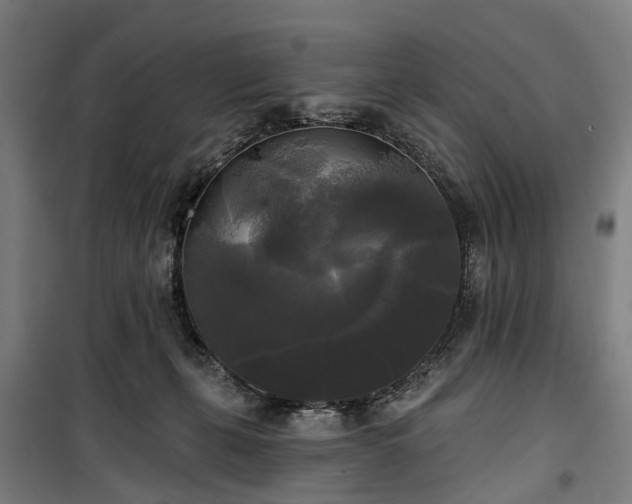 X0000100330271200806121135