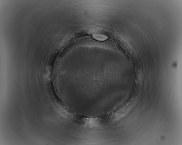 X0000100330273200806121135