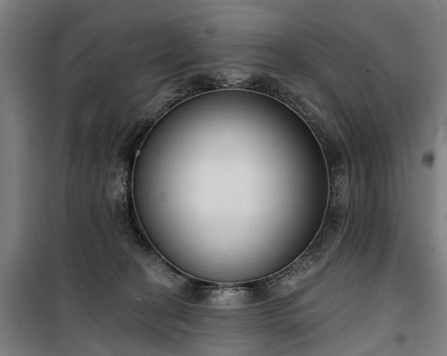 X0000100330274200806121135