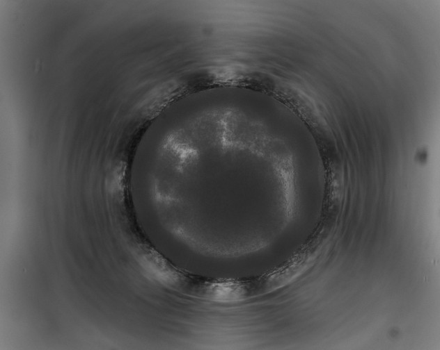 X0000100330275200806121135