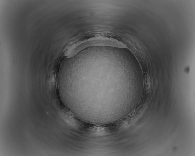 X0000100330276200806121135