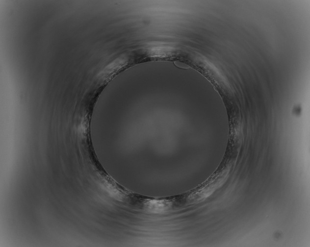 X0000100330277200806121135