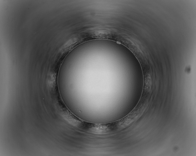 X0000100330278200806121135