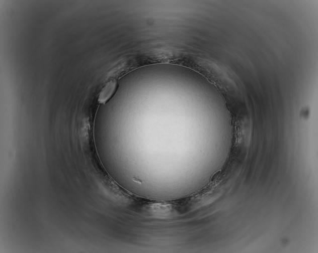 X0000100330279200806121135