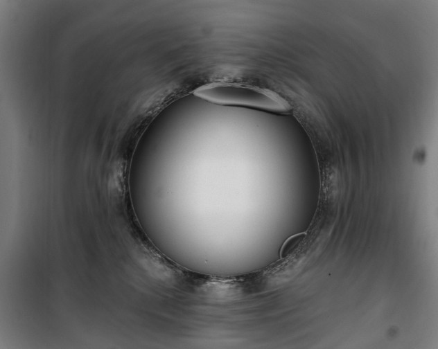 X0000100330280200806121135