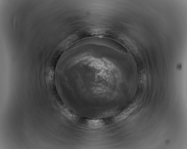 X0000100330281200806121135