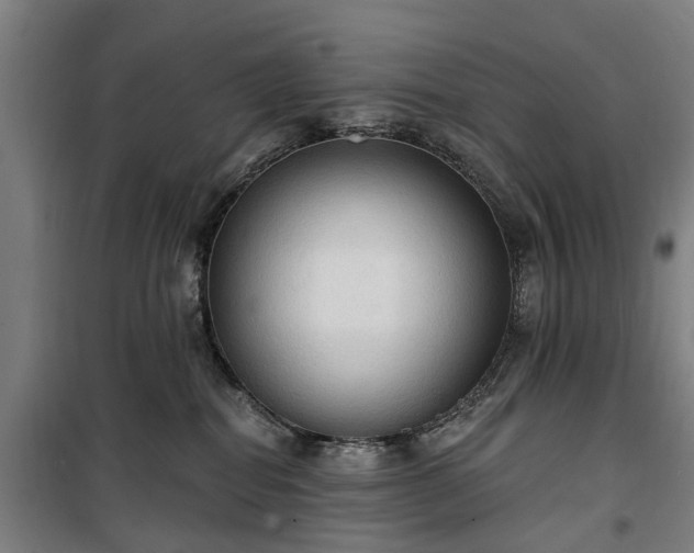 X0000100330282200806121135