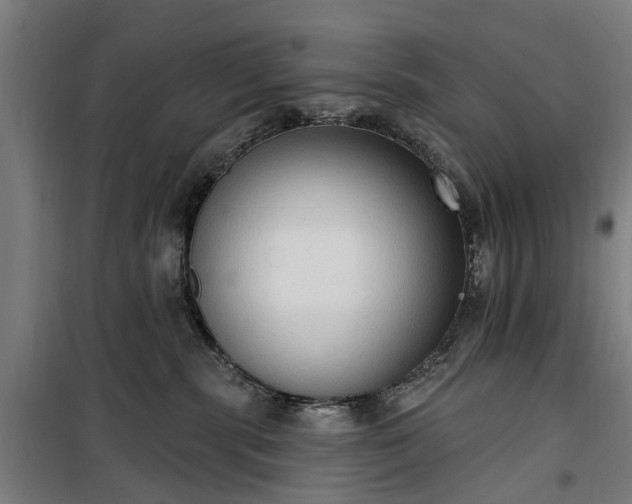 X0000100330283200806121135