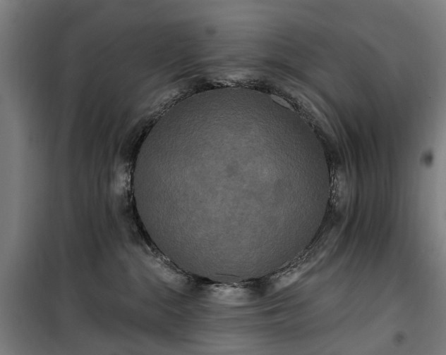 X0000100330284200806121135