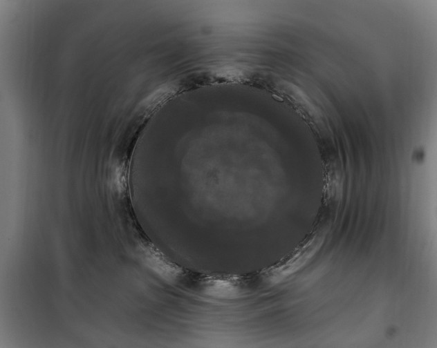 X0000100330285200806121135