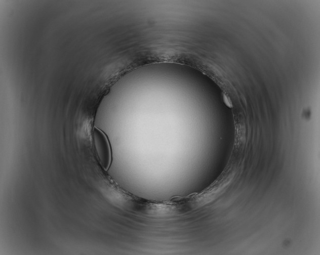 X0000100330286200806121135