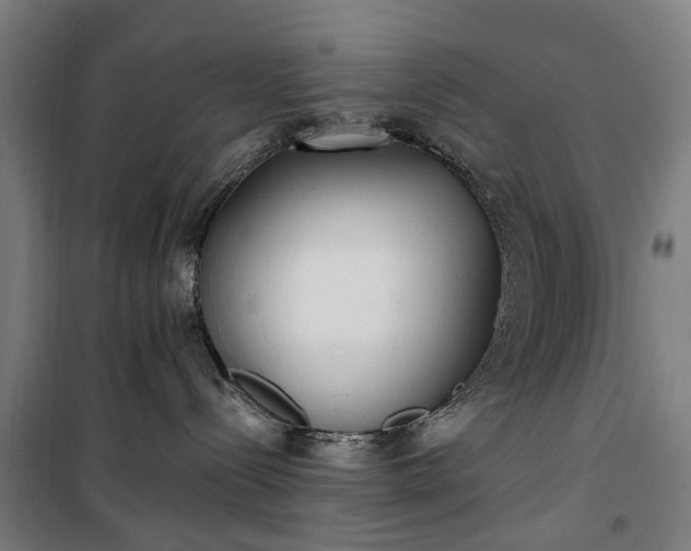 X0000100330288200806121135