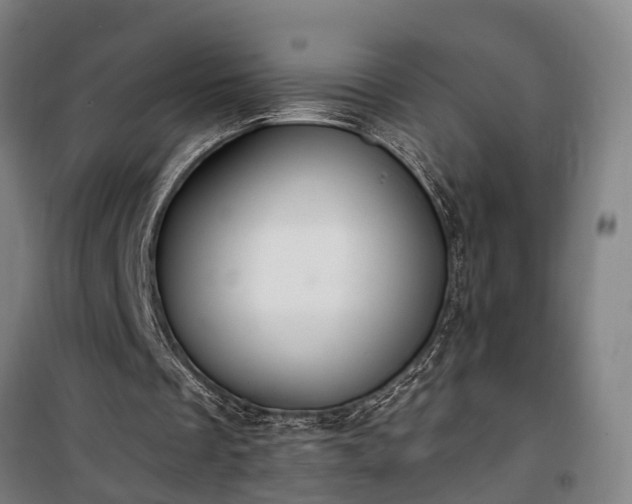 X0000100330289200806121134