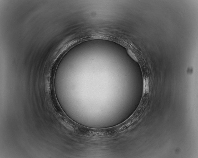 X0000100330291200806121134