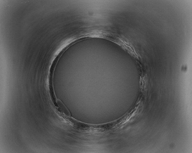 X0000100330292200806121134