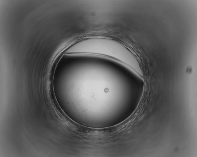 X0000100330293200806121134