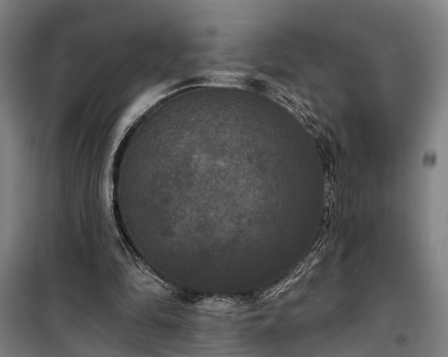 X0000100330294200806121134