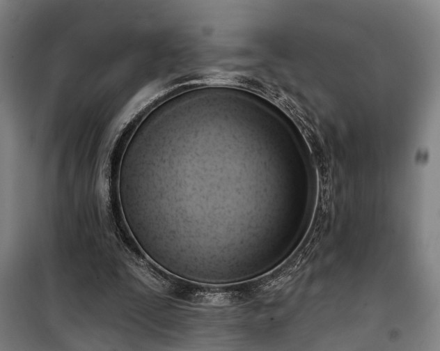 X0000100330295200806121134