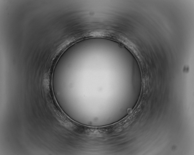 X0000100330297200806121134