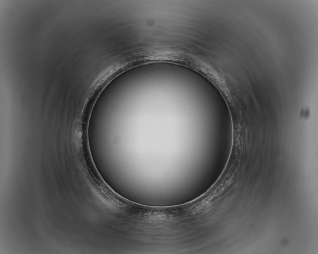 X0000100330298200806121134